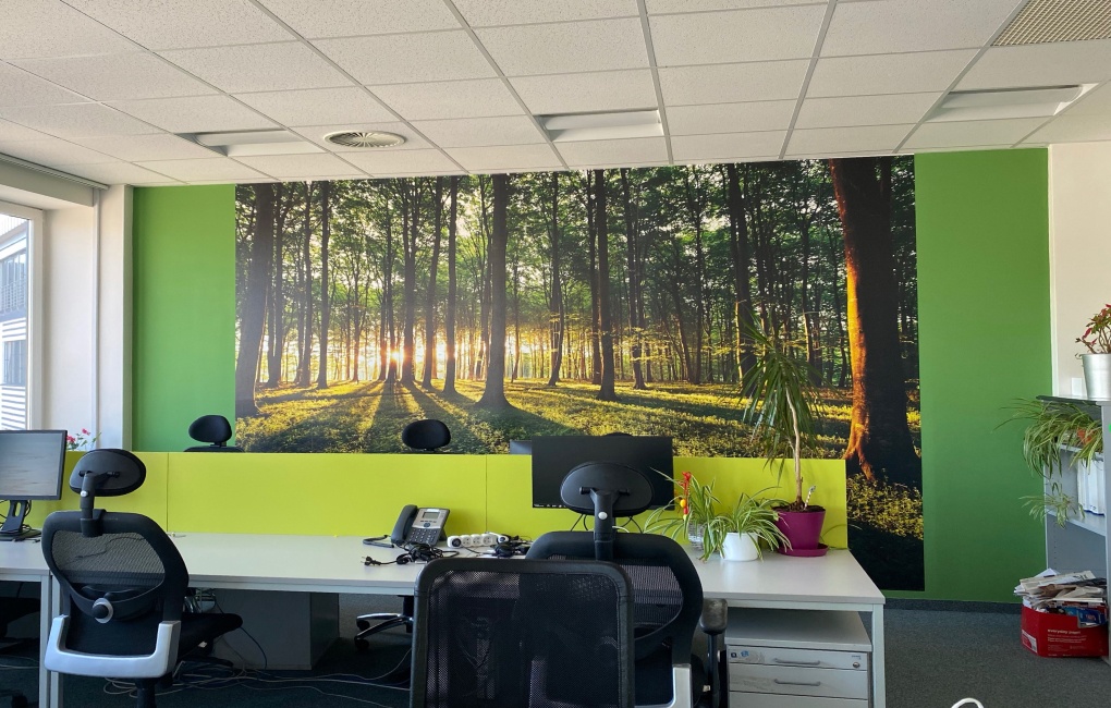 join us office - Přidej se k nám - sabris.com
