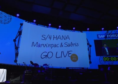 SAP Forum 2016 photo Zdenek Sluka 0452 gallery big - Záznam vystoupení Marvinpac a Sabris "Luxusní balení s S/4HANA" - sabris.com